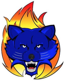 Trademark image